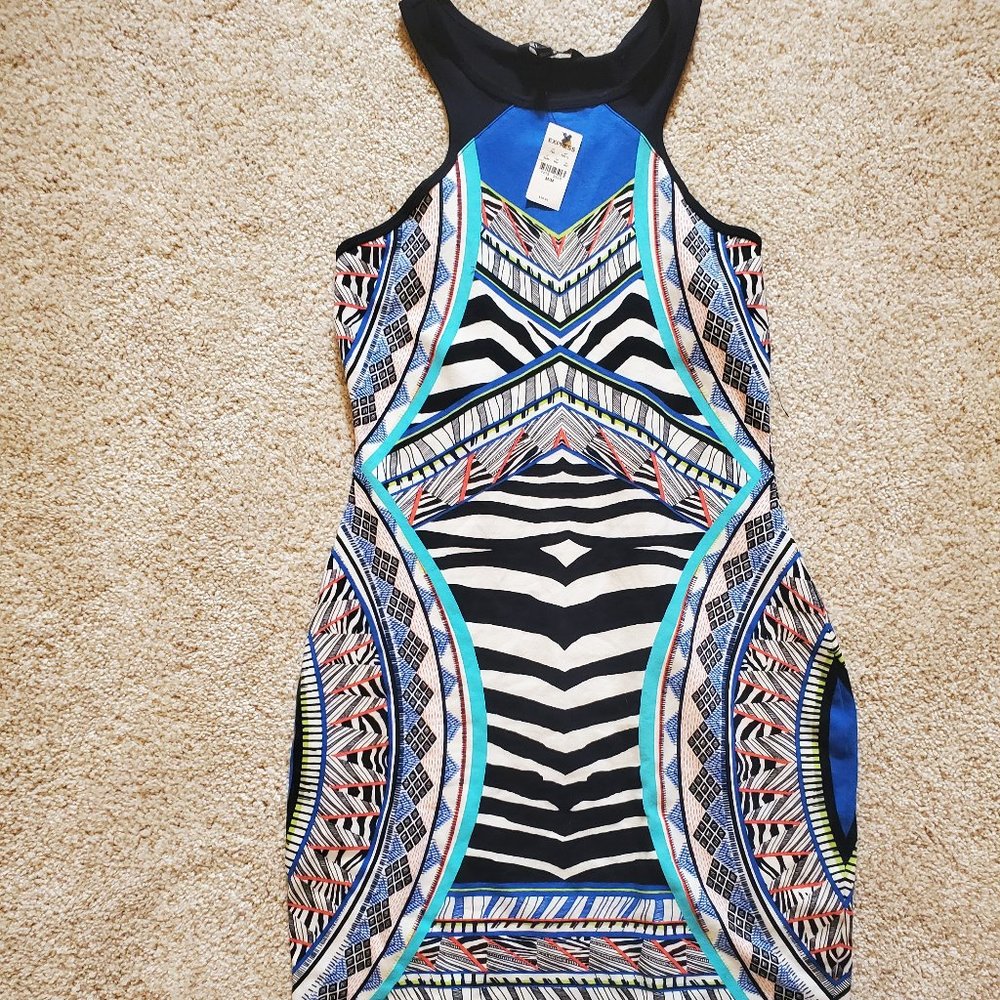 Express Zebra Print Dress (Size M)